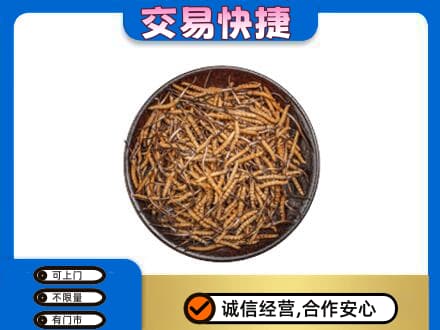延安市洛川回收散虫草